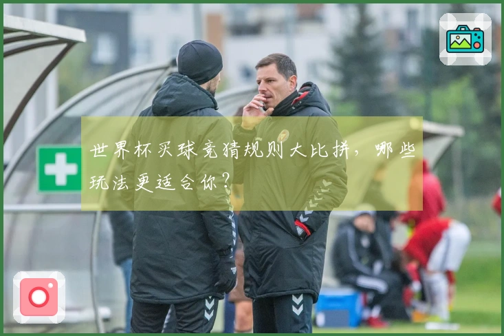 世界杯买球竞猜规则大比拼，哪些玩法更适合你？