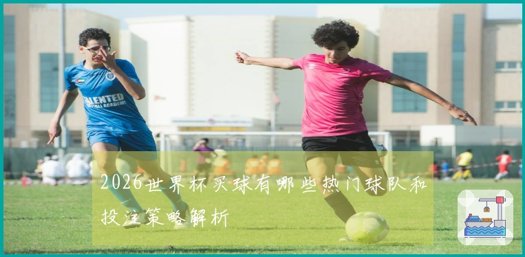 2026世界杯买球有哪些热门球队和投注策略解析
