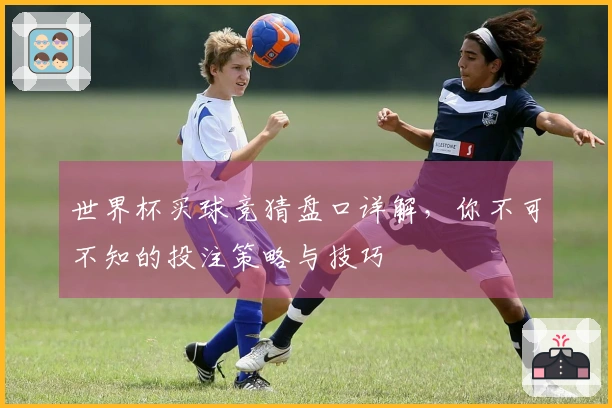 世界杯买球竞猜盘口详解，你不可不知的投注策略与技巧