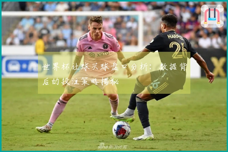 世界杯让球买球盘口分析：数据背后的投注策略揭秘