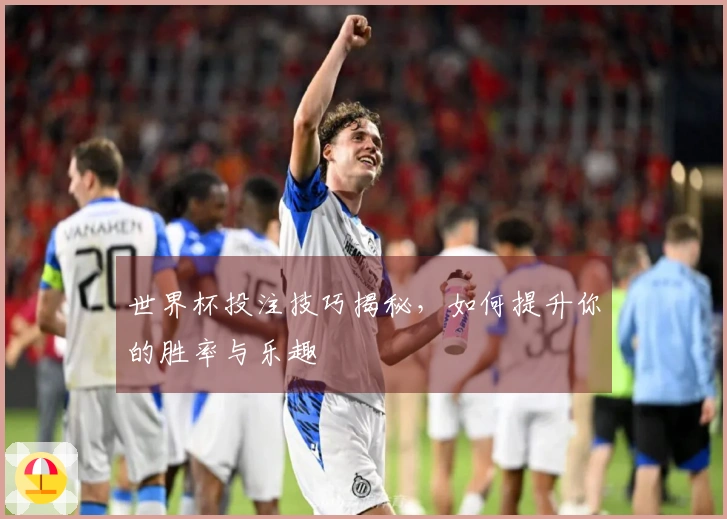 世界杯投注技巧揭秘，如何提升你的胜率与乐趣