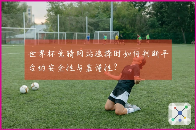 世界杯竞猜网站选择时如何判断平台的安全性与靠谱性？