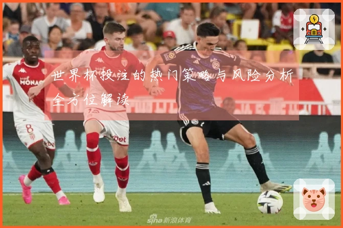 世界杯投注的热门策略与风险分析全方位解读