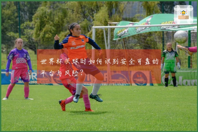 世界杯买球时如何识别安全可靠的平台与风险？