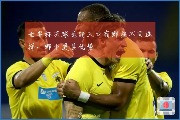 世界杯买球竞猜入口有哪些不同选择,哪个更具优势
