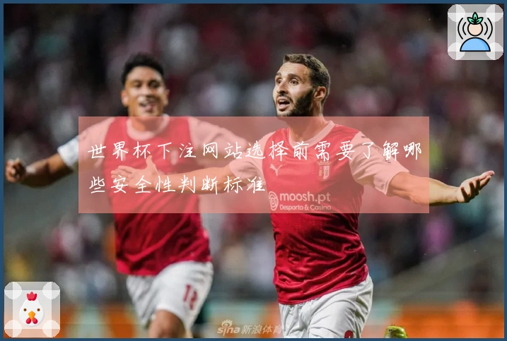 世界杯下注网站选择前需要了解哪些安全性判断标准