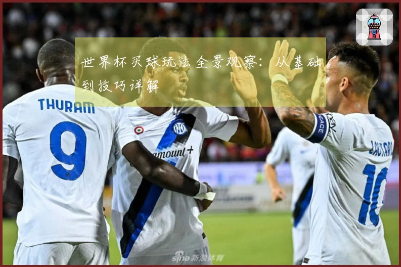 世界杯买球玩法全景观察:从基础到技巧详解