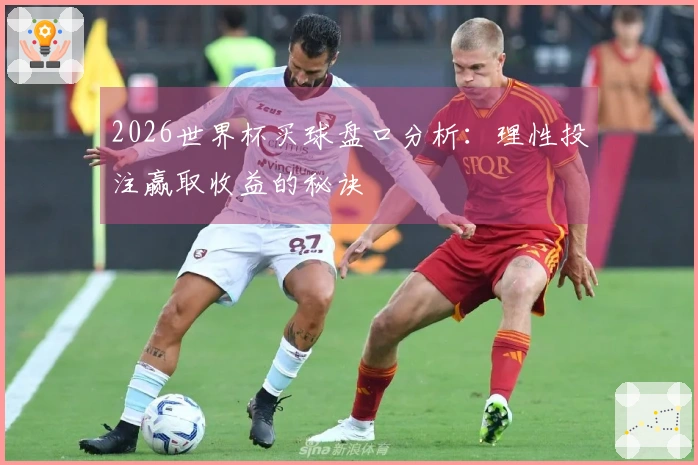 2026世界杯买球盘口分析：理性投注赢取收益的秘诀