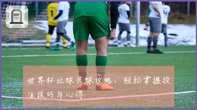 世界杯让球买球攻略，轻松掌握投注技巧与心得