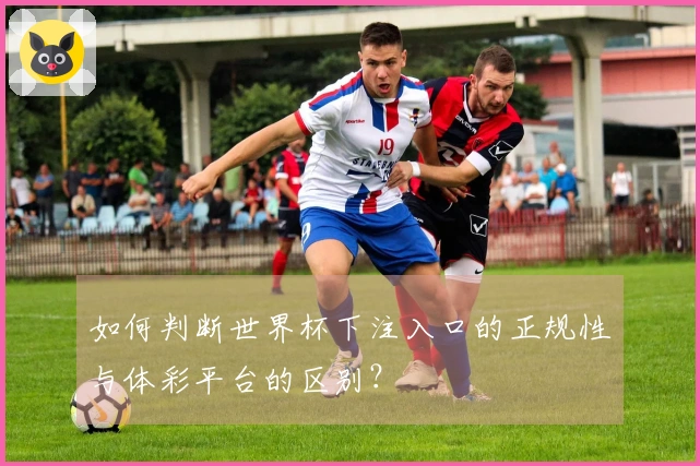 如何判断世界杯下注入口的正规性与体彩平台的区别？