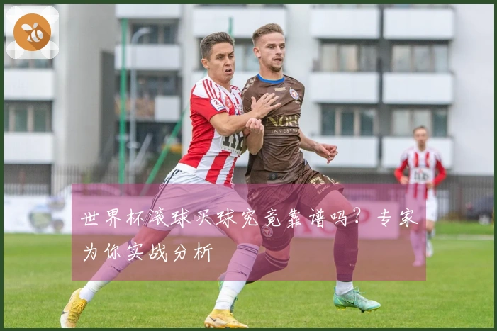 世界杯滚球买球究竟靠谱吗？专家为你实战分析