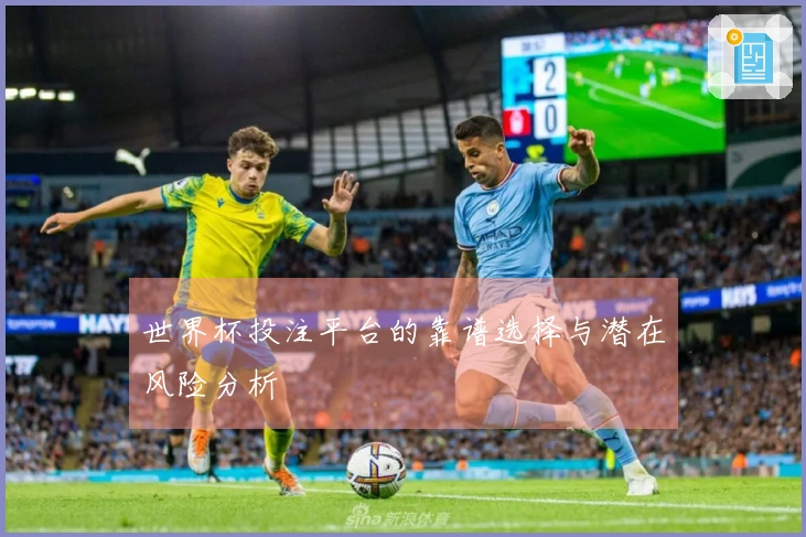 世界杯投注平台的靠谱选择与潜在风险分析