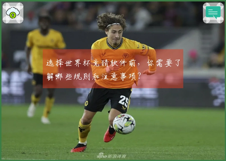 选择世界杯竞猜软件前，你需要了解哪些规则和注意事项？