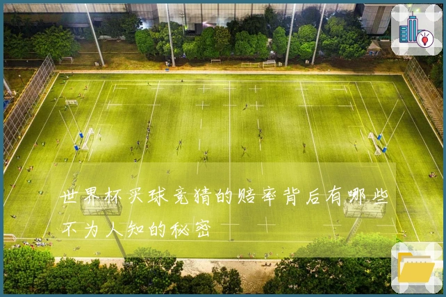 世界杯买球竞猜的赔率背后有哪些不为人知的秘密