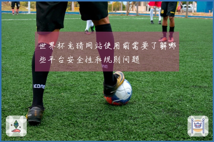 世界杯竞猜网站使用前需要了解哪些平台安全性和规则问题