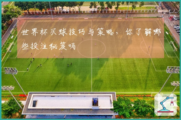 世界杯买球技巧与策略，你了解哪些投注秘笈吗