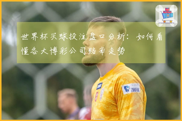 世界杯买球投注盘口分析：如何看懂各大博彩公司赔率走势
