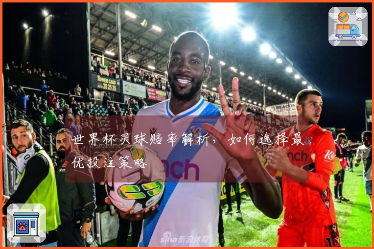 世界杯买球赔率解析，如何选择最优投注策略