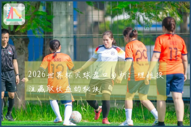 2026世界杯买球盘口分析:理性投注赢取收益的秘诀