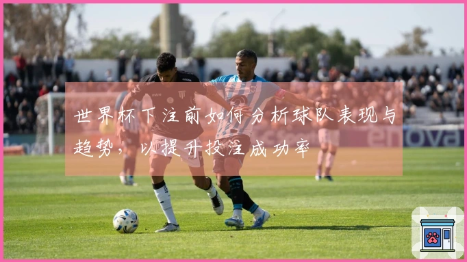 世界杯下注前如何分析球队表现与趋势，以提升投注成功率