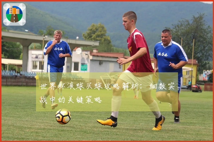 世界杯滚球买球攻略解析：细数实战中的关键策略
