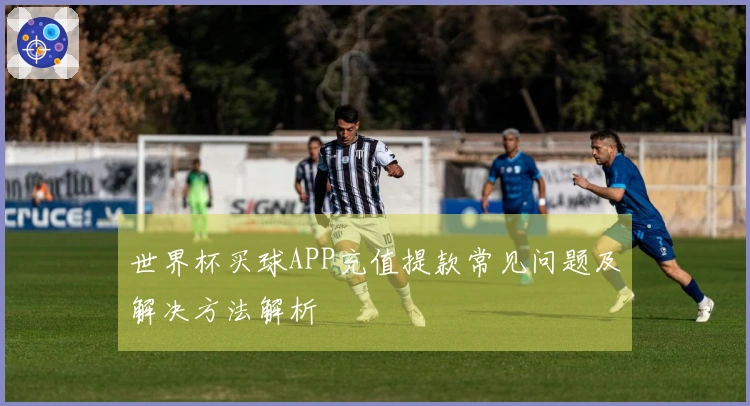 世界杯买球APP充值提款常见问题及解决方法解析