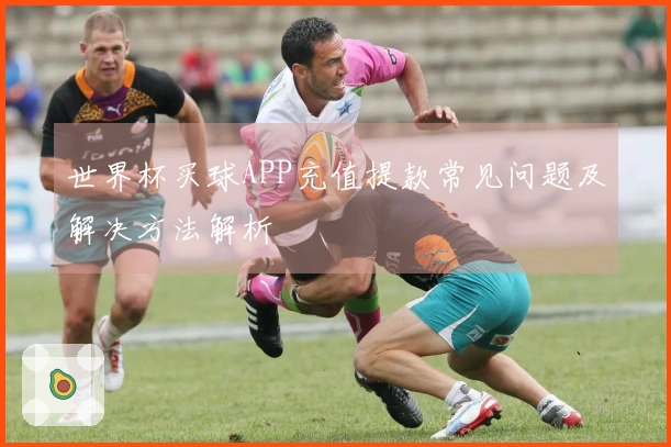 世界杯买球APP充值提款常见问题及解决方法解析