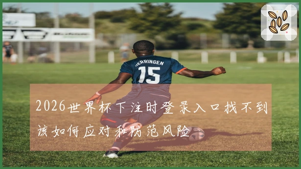 2026世界杯下注时登录入口找不到该如何应对和防范风险