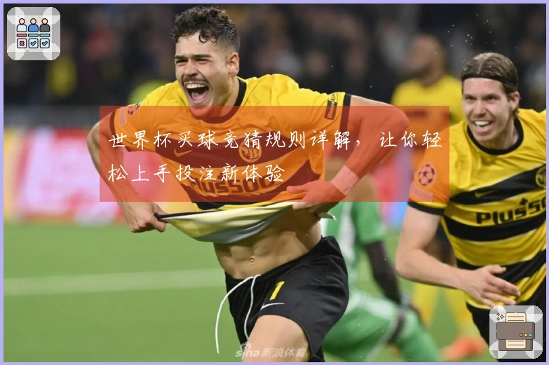 世界杯买球竞猜规则详解，让你轻松上手投注新体验
