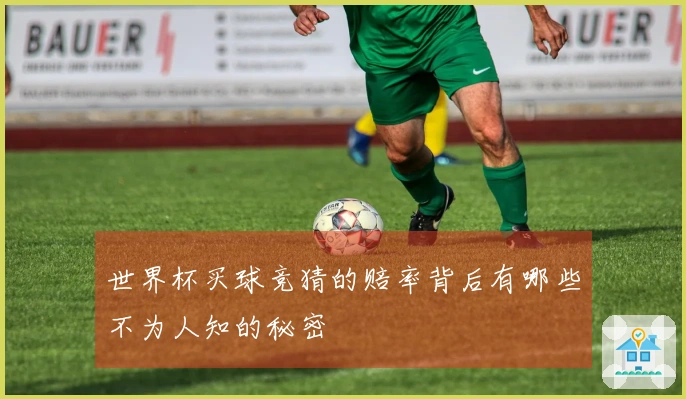 世界杯买球竞猜的赔率背后有哪些不为人知的秘密