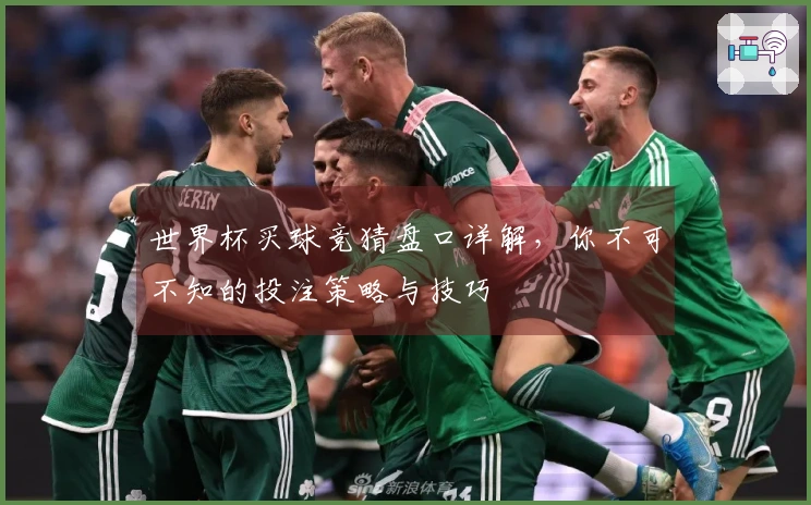 世界杯买球竞猜盘口详解,你不可不知的投注策略与技巧