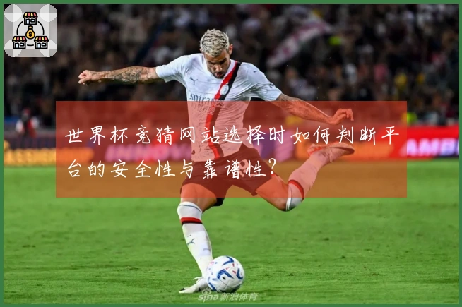 世界杯竞猜网站选择时如何判断平台的安全性与靠谱性？