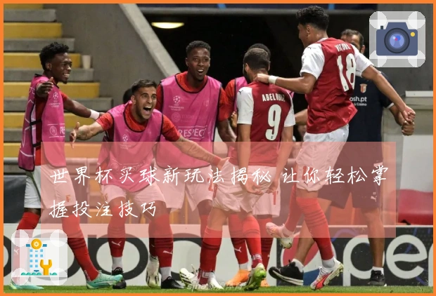 世界杯买球新玩法揭秘 让你轻松掌握投注技巧