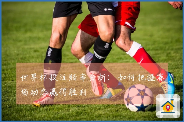 世界杯投注赔率分析：如何把握赛场动态赢得胜利