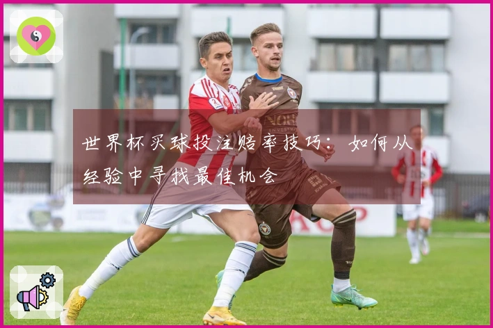 世界杯买球投注赔率技巧：如何从经验中寻找最佳机会