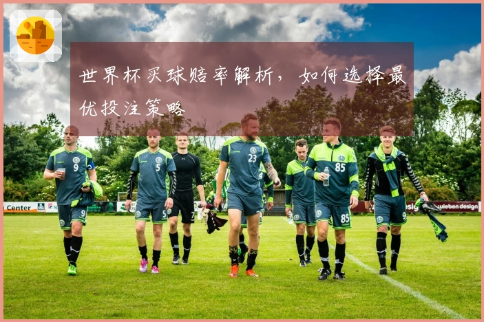 世界杯买球赔率解析，如何选择最优投注策略