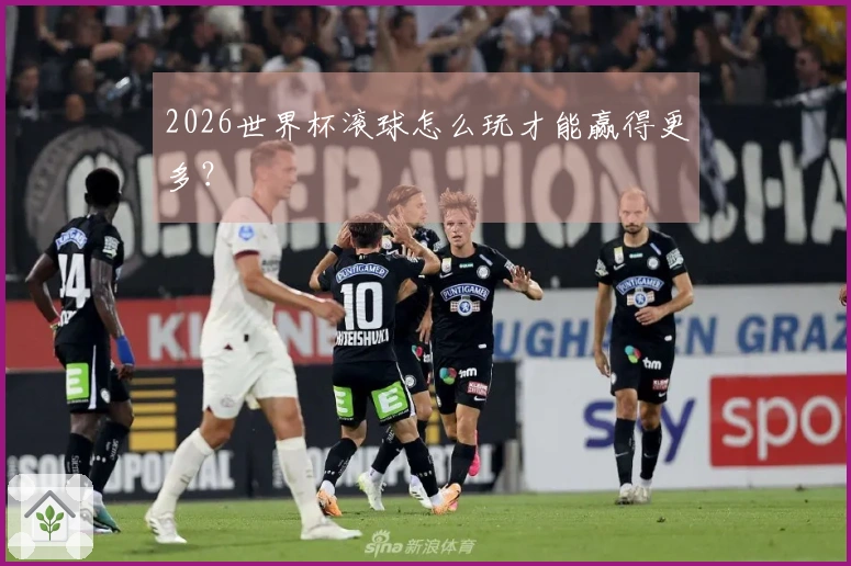 2026世界杯滚球怎么玩才能赢得更多？