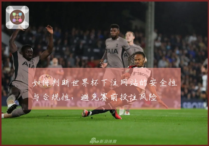 如何判断世界杯下注网站的安全性与合规性，避免赛前投注风险
