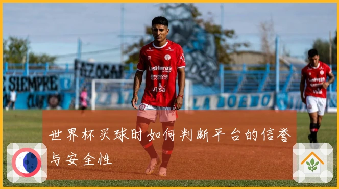 世界杯买球时如何判断平台的信誉与安全性