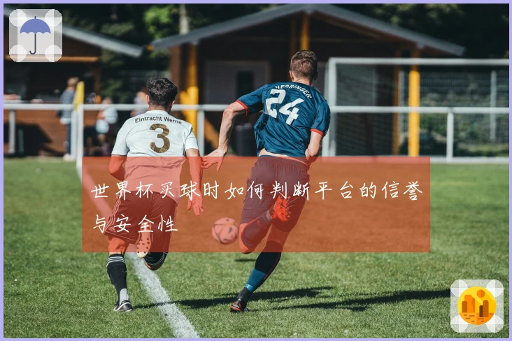 世界杯买球时如何判断平台的信誉与安全性